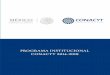 PROGRAMA INSTITUCIONAL CONACYT 2014-2018 - · PDF filePrograma Institucional CONACYT • 2014-2018 3 Mensaje del Director General del CONACYT Marco estructural y normativo Capítulo