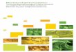 Biyoteknolojinin Faydaları - United Soybean · PDF fileGiriş Tarımsal biyoteknoloji yoluyla geliştirilen mahsuller 12 yıldan beri ticari boyutta yetiştirilmektedir. Bu mahsuller,