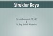 Struktur Kayu - Indradi  · PDF fileanak dan balok induk.! ... • Keduanya termasuk divisi spermatophyta (tumbuhan ... • Subdivisi gymnospermae, • Cirinya: biji