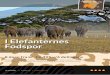 I Elefanternes Fodspor - · PDF fileVores mission er at være ... Indkvartering for to nætter på Ol Tukai Lodge beliggende inde i selve ... året rundt fra Billund, Aalborg eller