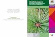 Catálogo de contenido de carbono en especies forestales de ... · PDF filecenicienta por fuera y violácea interiormente, de unos 0.8 a 1.5 centímetros de espesor, dividida en placas