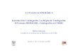CATALOGACIÓN BÁSICA Introducción: Catalogación. …digital.csic.es/bitstream/10261/3165/1/Curso Catalogacion Basica (3... · 09/03/2004 Catalogación Básica - Madrid, 9, 10 y