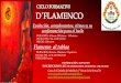 Evolución, complementos, ritmos y su conformación para el ... · PDF fileCurso de Flamenco Evolución, complementos, rítmos y su conformación para el baile ... Práctica: Bulerías