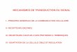 I - PRINCIPES GENERAUX DE LA COMMUNICATION …sebastien.tronel.free.fr/Physiologie/Transduction du signal..pdf · mecanismes de transduction du signal i - principes generaux de la