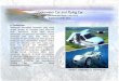 Underwater Car and Flying Car · PDF filedengan pesawat ringan. Sehingga selain bisa terbang, mobil ini juga bisa melaju di darat, begitu juga sebaliknya. Mobil