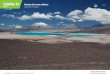 Lámina 1a Paisaje del norte chileno Clase 1 Unidad: Agua ... · PDF fileOrganizador gráfico de la unidad Unidad: Agua en la naturaleza ¿Qué flora y fauna existe? ¿Qué son las