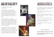 La storia della chitarra Rock La Mediateca: è un luogo ove ... · PDF fileLa storia della chitarra Rock L’età dell’oro. 1-Chuck Berry: Mr. Rock & Roll: Il primo grande chitarrista
