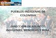 PUEBLOS INDÍGENAS DE COLOMBIA DIRECCIÓN DE · PDF fileDEFINICIONES: RESGUARDO: Es una institución legal y sociopolítica de carácter especial, conformada por una comunidad o parcialidad