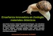 Enseanza innovadora en Zoologa: materiales   incluy un glosario de trminos zoolgicos Equinodermos Macroncleo: el mayor de los dos tipos de ncleos de los protozoos ciliados; 