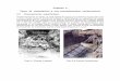 Capítulo 2 Tipos de cimentación y sus procedimientos ... · PDF fileCapítulo 2 Tipos de cimentación y sus procedimientos constructivos 2.2 Cimentaciones superficiales Geotécnicamente