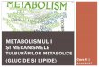 METABOLISMUL I - USAMV Cluj-Napoca 4... · Metabolismul bazal - metabolismul în repaus, este sensibil apropiat la toate speciile, dacă este raportat la greutatea metabolică fiind