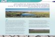 Dirvožemio degradacijos procesų, dirvožemį tausojančių ...eusoils.jrc.ec.europa.eu/projects/SOCO/FactSheets/LT Fact Sheet.pdf · Tai erozija, kurią sukelia vanduo, vėjas ir