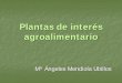Plantas de interés agroalimentario - OCW UPMocw.upm.es/botanica/plantas-de-interes-agroalimentario/contenidos/... · Plantas de interés agroalimentario Los alimentos: plantas con