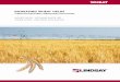 INCREASING WHEAT YIELDS - · PDF fileIrrigating Wheat Both spring and winter wheat have their peak crop water use around the boot growth stage. Spring wheat matures later in the summer