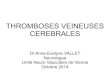 THROMBOSES VEINEUSES CEREBRALES - resuval.free.frresuval.free.fr/FMC/FMC-14.11.05/TVC.pdf · LES, Behcet Thrombophilies congénitales Coagulopathies Cancers Hémopathies Médicaments