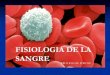 FISIOLOGIA DE LA SANGRE - Dr. RAFAEL PORCILE | Blog de ... · PDF fileLa adhesión de las células hemopoyéticas al microambiente está mediada ... Generalidades de la Sangre . 