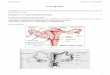 L’ovogenèse - santepublique- · PDF fileL’ovogenèse L’ovogenèse est le processus permettant la production des gamètes femelles, les ovocytes, ainsi que leur maturation en