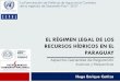 EL RÉGIMEN LEGAL DE LOS RECURSOS HÍDRICOS EN EL PARAGUAY · PDF fileDerecho a un ambiente adecuado ... Ámbito Internacional PARAGUAY ratificó varias normas que a Nivel Internacional