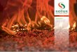 BIOMASSA Caldeiras a pellets Caldeiras a lenha · PDF fileos pellets de madeira combinam todas as vantagens económicas e ambientais de utilização da biomassa, ... • Caldeira a