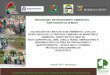 PROGRAMA DE MONITOREO AMBIENTAL …regionmoquegua.gob.pe/transparencia/Mesadedialogo/Info_3racam_MA… · fundacion peruana para la conservaciÓn de la naturaleza validaciÓn de lÍnea