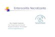 Dra. Claudia cannizzaro - Sociedad Argentina de Pediatría · PDF file“Prolongación de la etapa de vulnerabilidad por ... CID, neutropenia +signos de ... enteralales vs placebo
