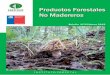Boletín de PFNM - Estadisticas Forestaleswef.infor.cl/publicaciones/pfnm/2015/03/PFNM201503.pdf · Patricio Chung G. Boletín de Productos Forestales No Madereros es una publicación