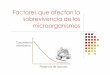 Factores que afectan la sobrevivencia de los microorganismos · PDF fileTriclosanes usado en jabones, ... provisto este de un agitador para hacer mas homogéneo el tratamiento. 