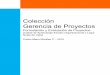 Colección Gerencia de Proyectos - Carlos Mario Morales C · PDF fileColección Gerencia de Proyectos Formulación y Evaluación de Proyectos Unidad de Aprendizaje Estudio Organizacional