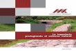 La ingeniería protegiendo el entorno ... - Gaviones Méxicogavionesmexico.com/wp-content/uploads/2016/12/folleto_1_gaviones... · Los muros de contención construidos con gaviones