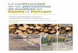 La conflictividad de las plantaciones de eucalipto en ...archivo-es.greenpeace.org/espana/Global/espana/report/bosques/... · reuniendo trabajos, denuncias y experiencias de diversos