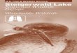 U.S. Fish & Wildlife Service Steigerwald Lake · PDF fileU.S. Fish & Wildlife Service Steigerwald Lake National Wildlife ... Mute Swan o o o u ... Palm Warbler a