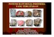 POTENSI BATUMULIA INDONESIA YANG TERLUPAKANpsdg.bgl.esdm.go.id/makalah/potensi batu mulia.pdf · i. pendahuluan 1.1 gambaran batumulia indonesia ¾batupermata indonesia, asset yang
