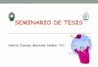 SEMINARIO DE TESIS - · PDF fileSEMINARIO DE TESIS Henris Jobany ... Evolución = Practica 3. Índice ... La Práctica Profesional Supervisada en el nivel de pregrado, es un componente