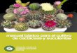 manual básico para el cultivo de cactáceas y suculentasasycs.weebly.com/uploads/4/6/5/1/4651414/manual_bsico_para_el... · manual básico para el cultivo de cactáceas y suculentas: