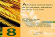 Actividad antioxidante de la cerveza: estudios in vitro e ... · PDF fileEl principal objetivo del presente trabajo ha sido evaluar la actividad antio- ... Ensayo TRAP (del inglés