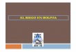 EL RIEGO EN BOLIVIA - iww.uni- · PDF fileSistemas de Riego en Bolivia Programa Nacional de Riego 10 zMás de 5.000 sistemas de riego z271.900 familias de campesinos regantes z226.500