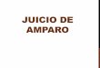 JUICIO DE AMPARO - cjyuc.gob.mx · PDF fileLOS PROCESOS DE AMPARO. 1. El amparo directo 2. El amparo indirecto Se insta ante un Tribunal Colegiado, por conducto de la autoridad responsable