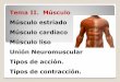 Tema II. Músculo Músculo estriado Músculo cardiaco · PDF filecorresponde a músculo liso y cardiaco ... musculo . Atrofia muscular ... El músculo se acorta y la tensión del músculo