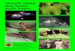 Musuh alami kapas1 - mamud.commamud.com/Docs/musuh_alami_kapas.pdf · Lalat apung (lalat bunga).....48 Tawon kertas.....49 Parasit 50 Lalat tachinid ... Siklus hidup Telur diletakkan