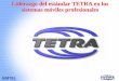 Liderazgo del estándar TETRA en los sistemas móviles ... · PDF file3 Liderazgo de TETRA.ppt/ Abril 2007 / RM TETRA es un gran paso en la evolución de las radiocomunicaciones móviles