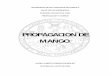 PROPAGACION DE MANGO - · PDF fileuniversidad de san carlos de guatemala facultad de agronomia maestria de fruticultura propagacion y viveros propagacion de mango. mario alberto agreda