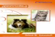 Állatgyógyászati termékek kutyáknak és macská · PDF filePirantel-pamoát 144,0 mg Fenbendazol 200,0 mg Kiszerelés: 2x10 levél, 200 tabletta / doboz endoparazitikum Noroverm