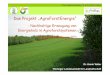Das Projekt „AgroForstEnergie“ · PDF fileAckerstandort Bodentyp Pelosol, Gley 0,5 ha Plantage (Pappel) 5-gliedrige Fruchtfolge: WR-WW-AB-M-SG 3-gliedrige Fruchtfolge: WG-WR-WW