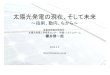 Microsoft PowerPoint - 20120302-PVEXPO-Sakurai-PV …ksakurai.nwr.jp/R/slides/WhyFIT/Sakurai-PV-lecture.pdf · 太陽光発電の現在、そして未来 ～技術、動向、ちから～