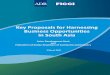 Key Proposals for Harnessing Business Opportunities in ... 3-Mar-10.pdfKey Proposals for Harnessing Business Opportunities in South ... South Asian Economic Integration ... Proposals