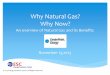 Why Natural Gas? Why Now? - CenterPoint  · PDF fileeconomically viable alternative to conventional gas resources. ... of clay, silica, ... Natural Gas vs. Electricity Source: