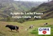 Acopio de Leche Fresca Grupo Gloria - Perú - Infolacteainfolactea.com/wp-content/uploads/2015/03/219.pdf · Lambayeque y La Libertad – El acopio en esta zona se inicia a partir
