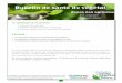 Bulletin de santé du végétal - Direction régionale de ...draaf.grand-est.agriculture.gouv.fr/IMG/pdf/2015-06-11_BSV_ZNA_8... · Hautier et Nicolas Ottart - Insectes 7 n°136-2005