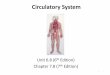Circulatory System Class Notes - San Dieguito Union High ...teachers.sduhsd.net/jmccluan/HCE/Notes/Circulatory System Class... · Fun Facts About the Circulatory System • The heart