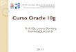 Curso Oracle 10g - Home - Faculdade de Informáticadanielc/cursos/pqts/oracle_SQL/CursoOracle.pdf · Agenda Introdução Oracle 10g overview Tipos de dados no Oracle SQL Developer